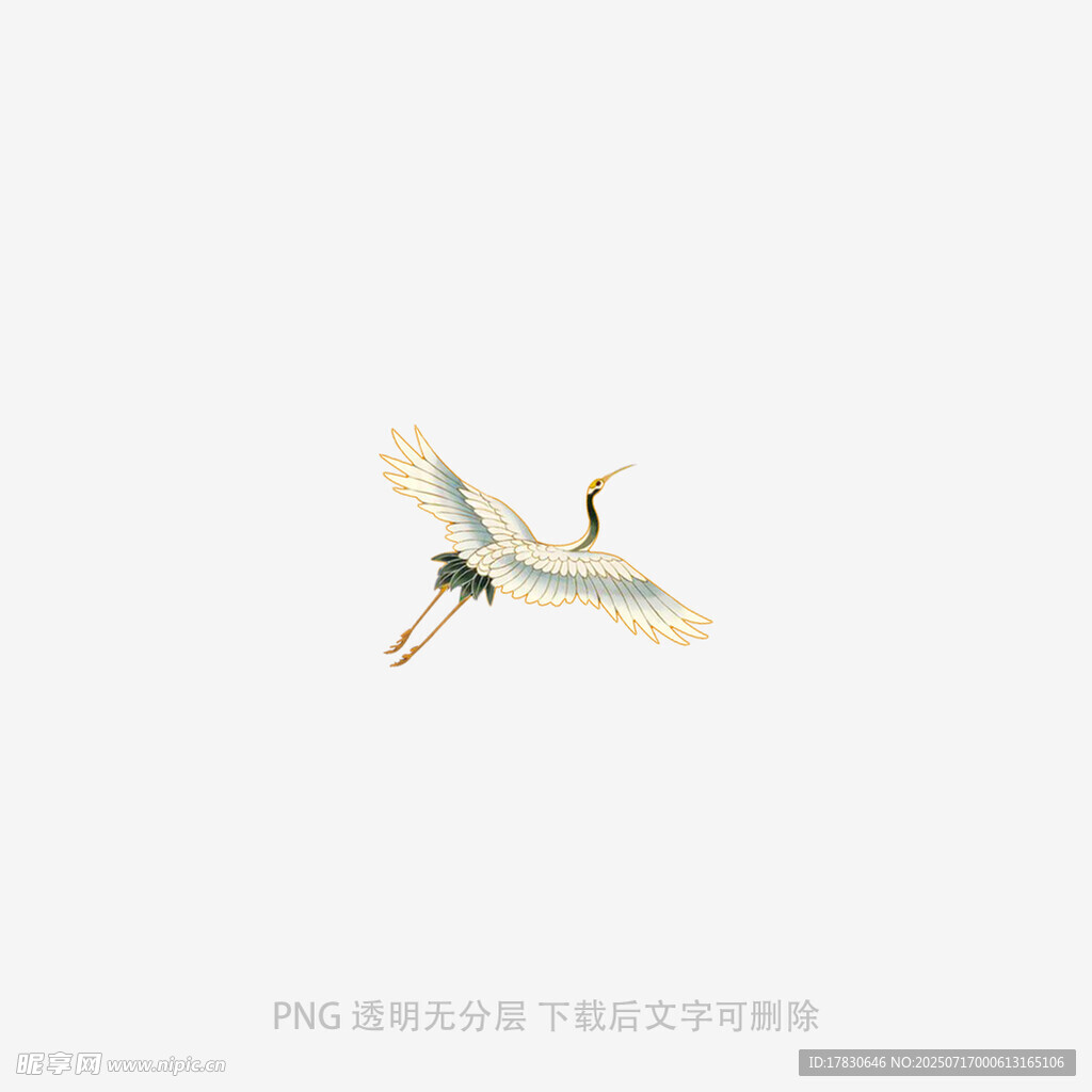 飞翔的白鹭