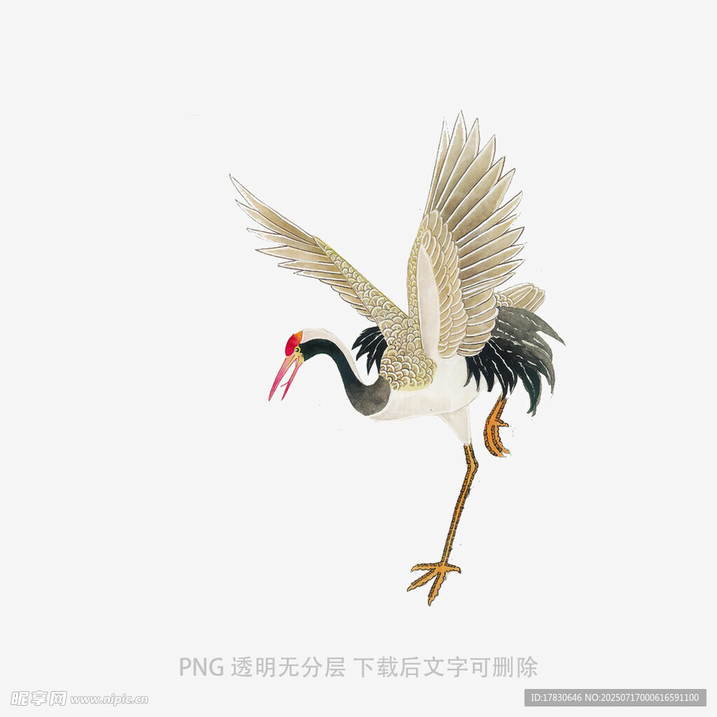 展翅仙鹤图