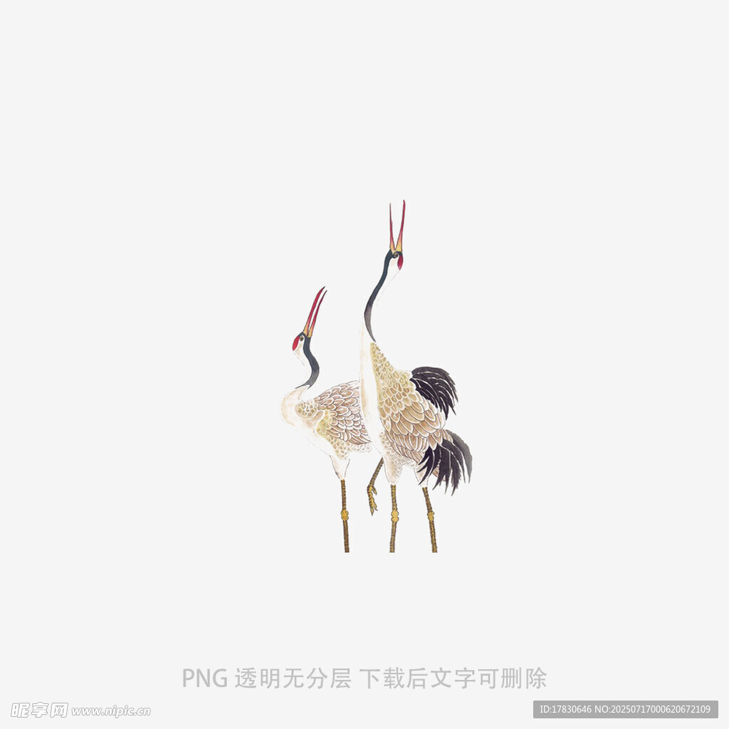 双鹤优雅姿态展示