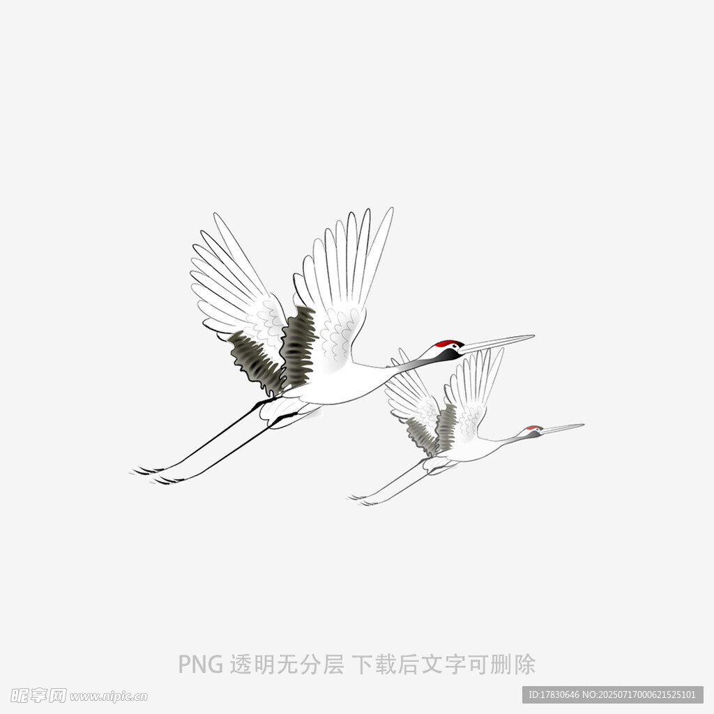 双鹤翔空图