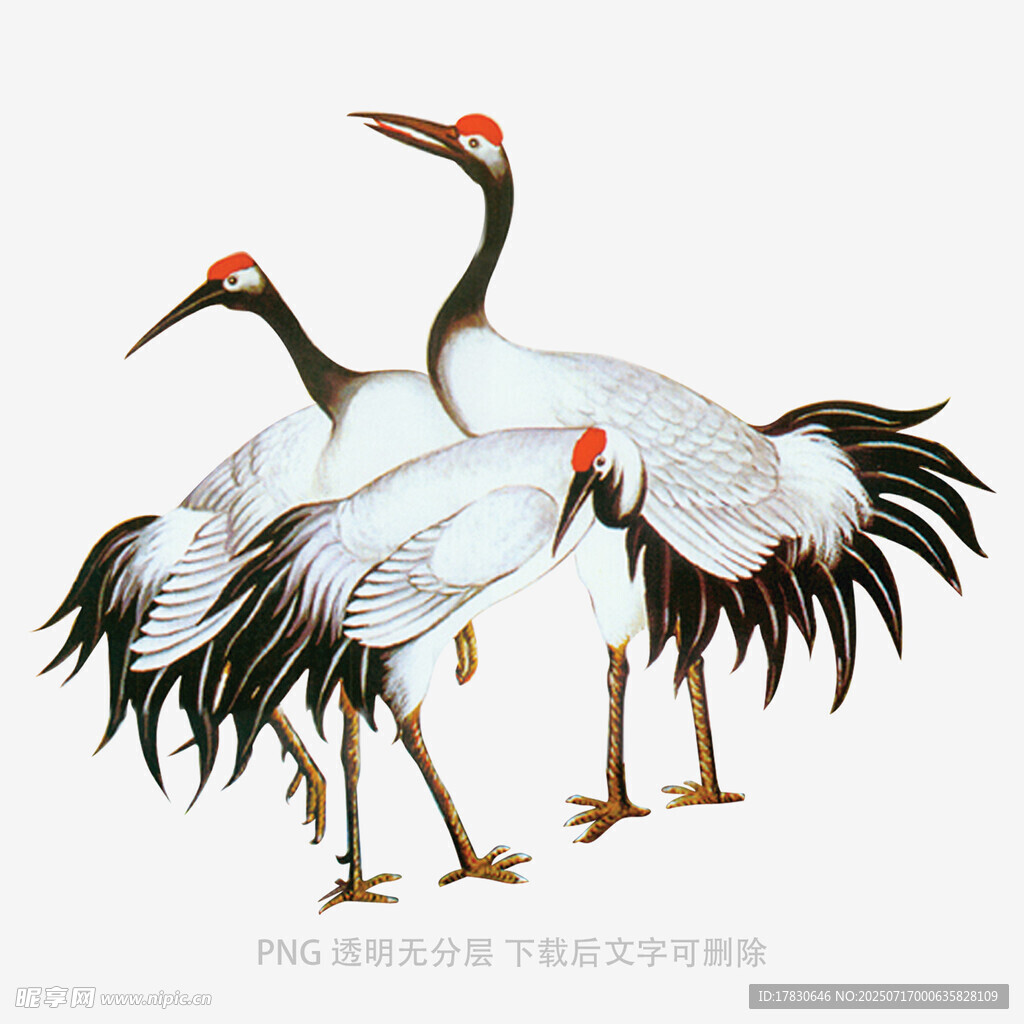 双鹤图