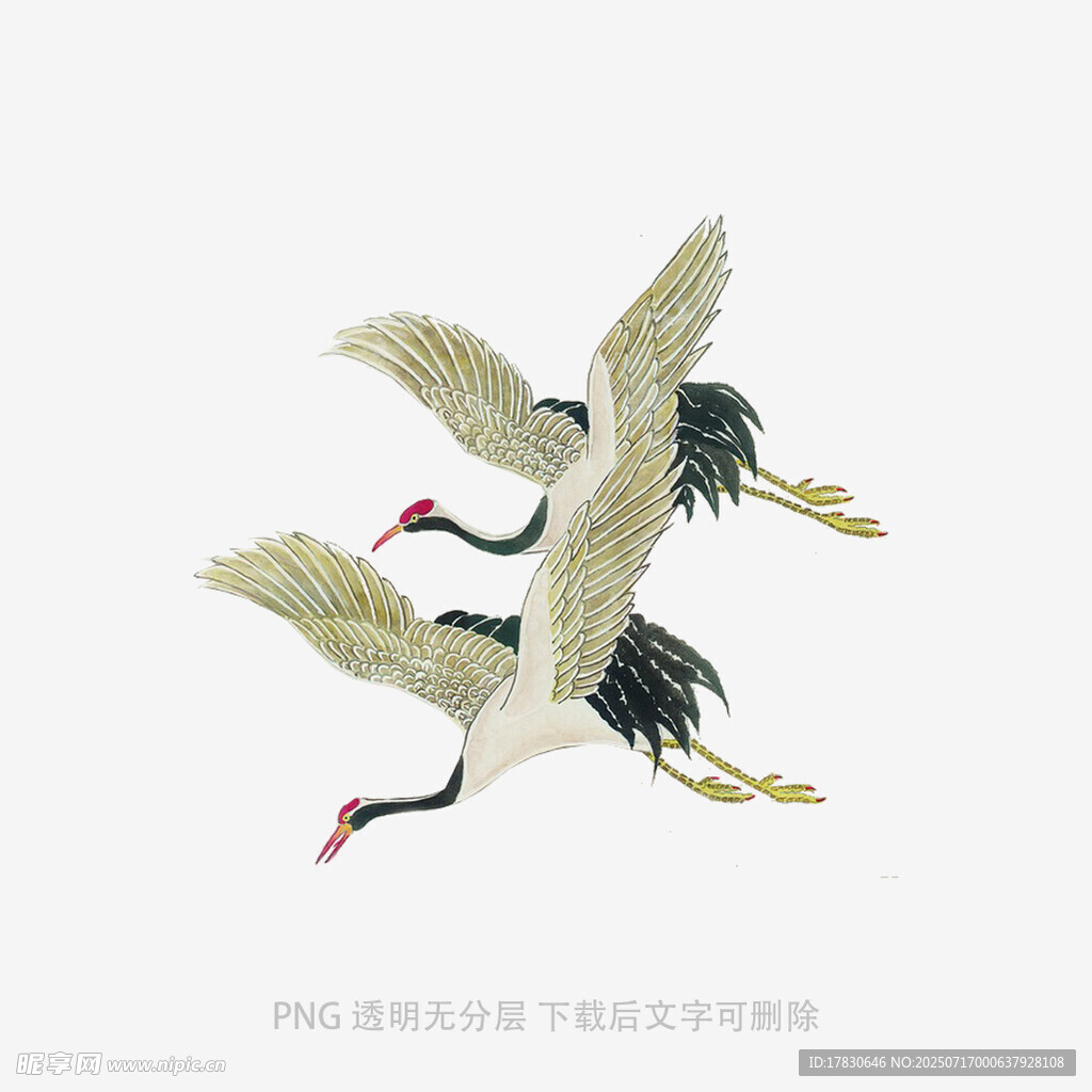 双鹤展翅图