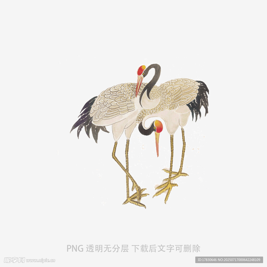 双鹤图