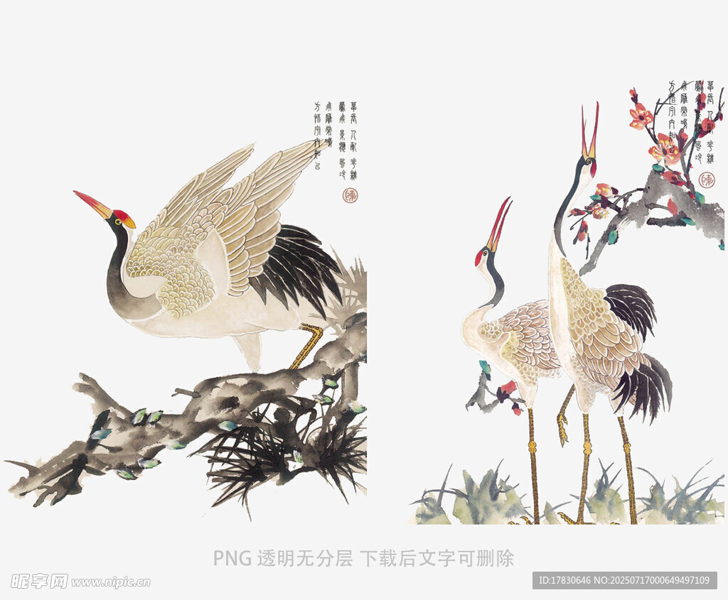 仙鹤