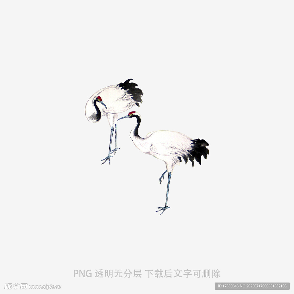 双鹤起舞