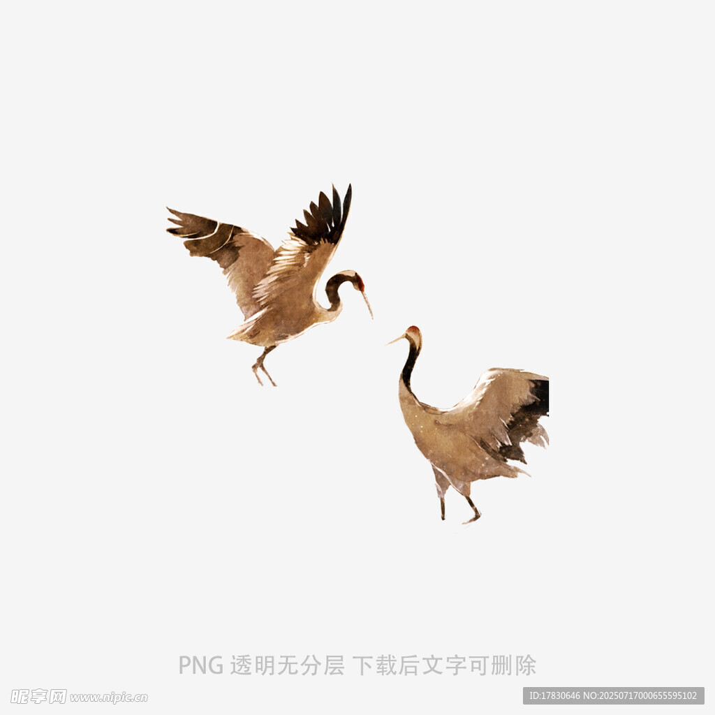 双鹤起舞