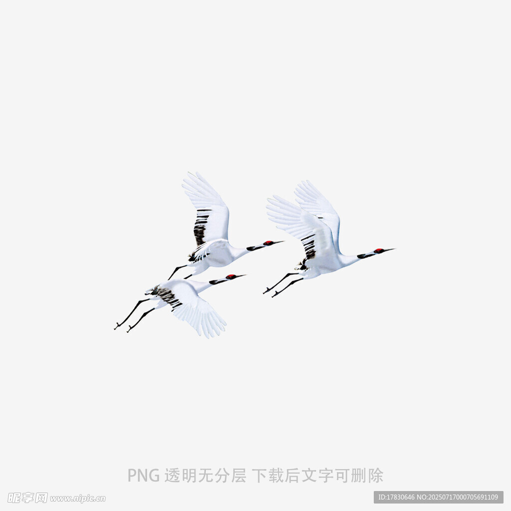 双鹤齐飞图