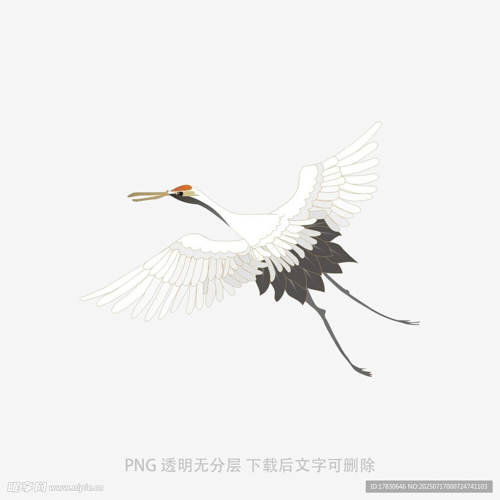 白鹤展翅高飞