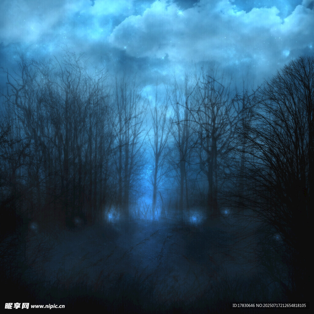神秘幽森的暗夜森林景象