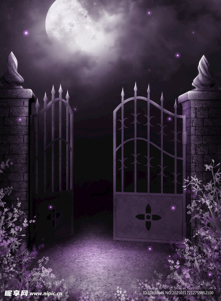 神秘月夜下的魔幻铁门