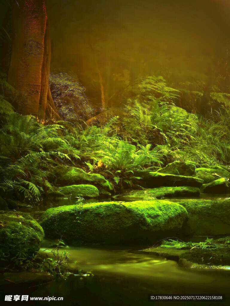 神秘森林中的幽绿苔藓景观
