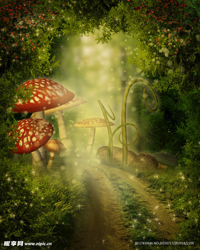 梦幻森林中的蘑菇小径
