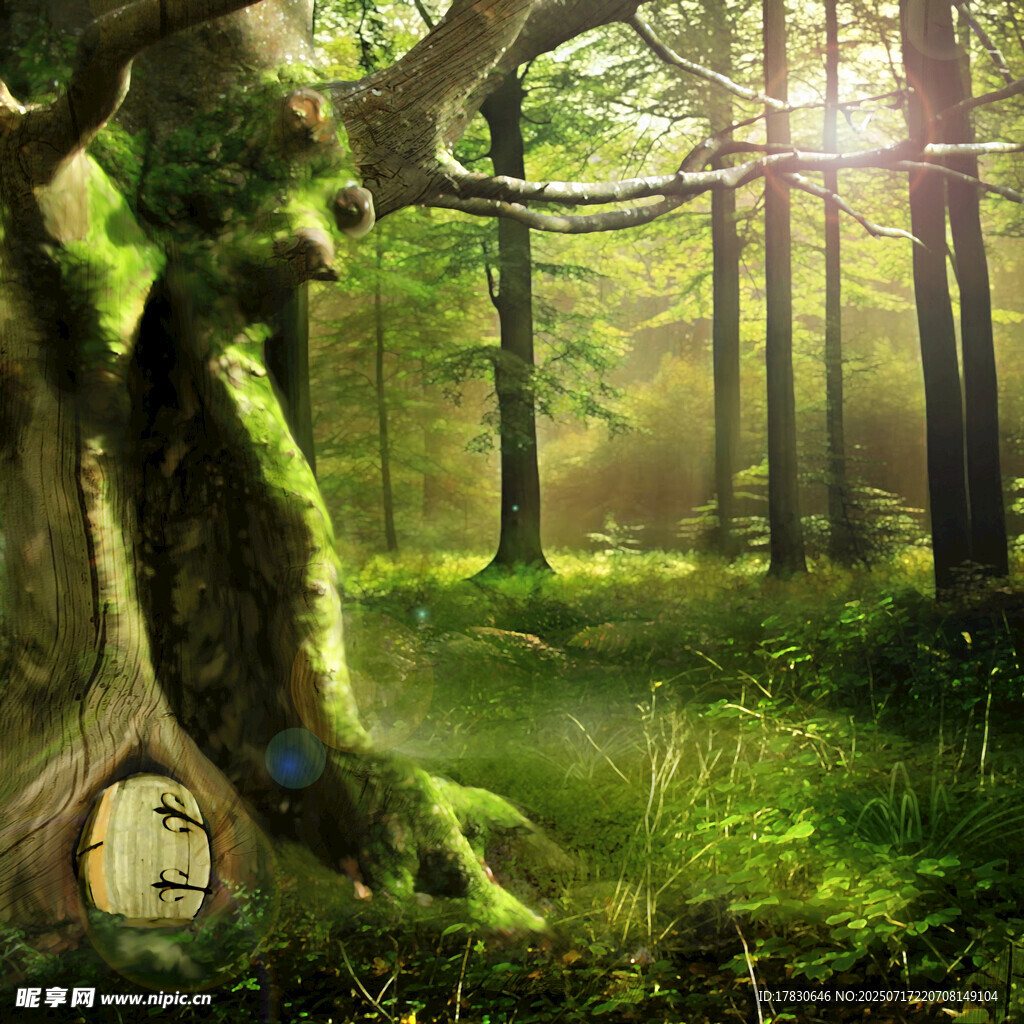 奇幻森林中的童话小屋