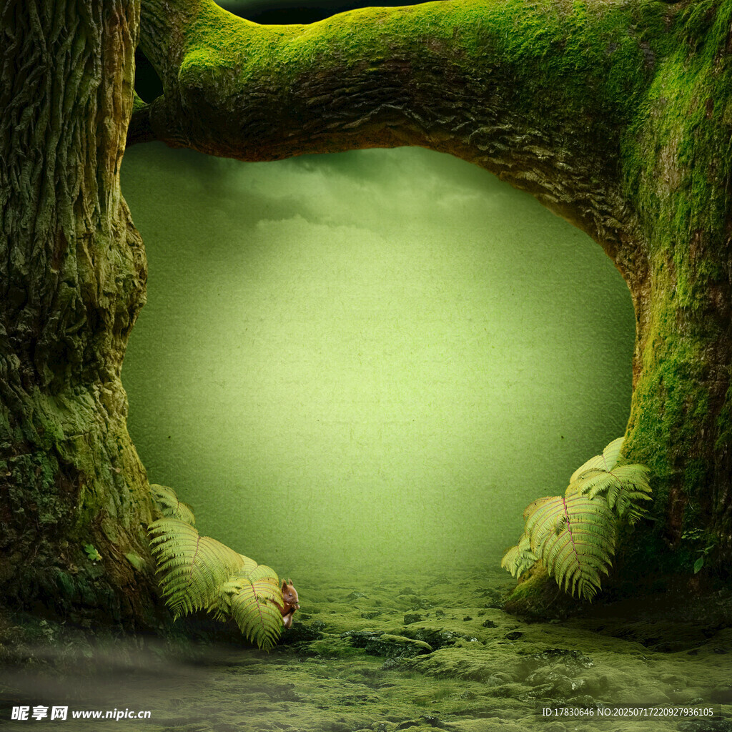 奇幻树洞下的神秘绿色空间