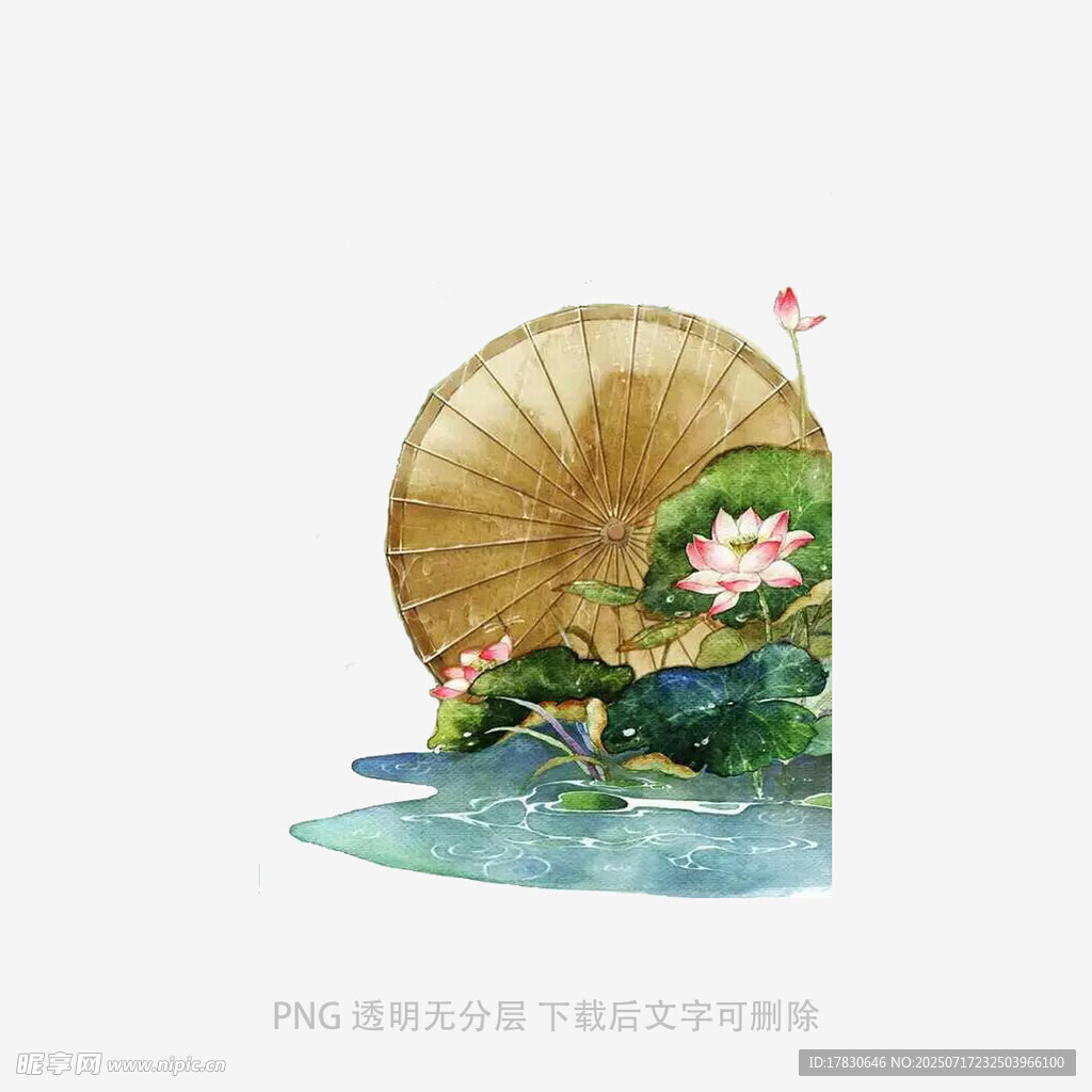 古风荷景油纸伞插画
