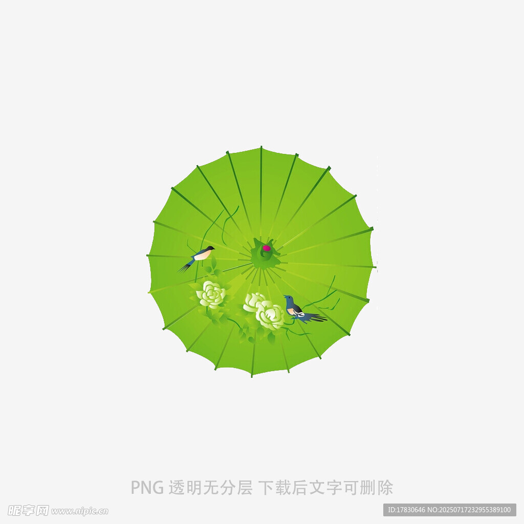绿色纸伞上的灵动小鸟