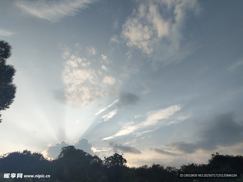 日出时分的天空与树木