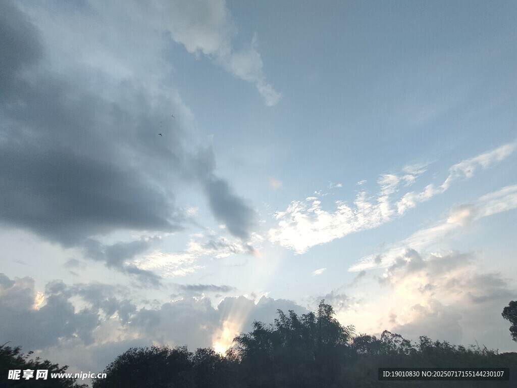 黄昏时分的天空与树梢
