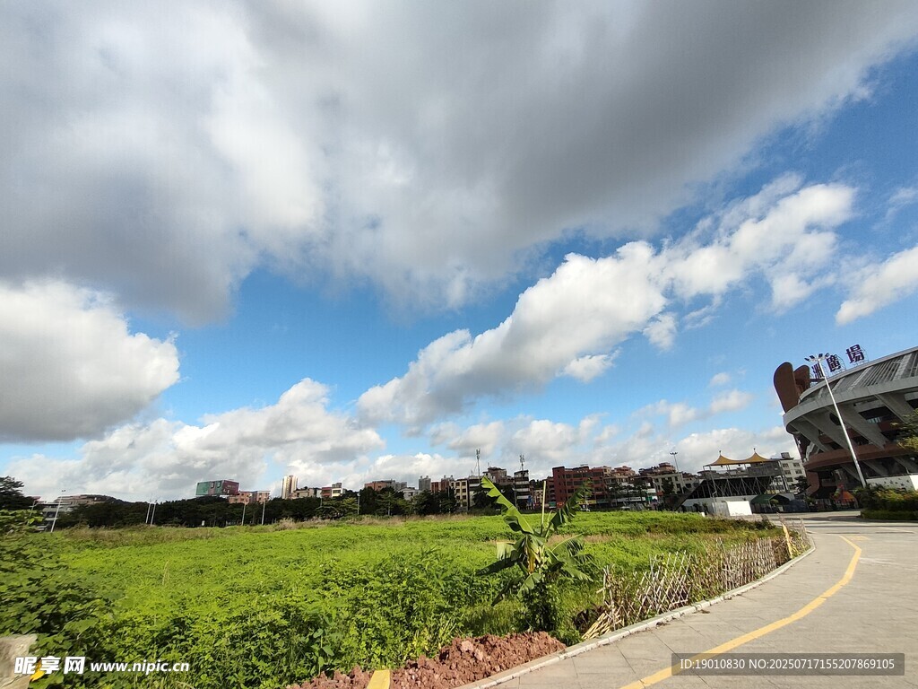 乡村公路旁的绿野蓝天