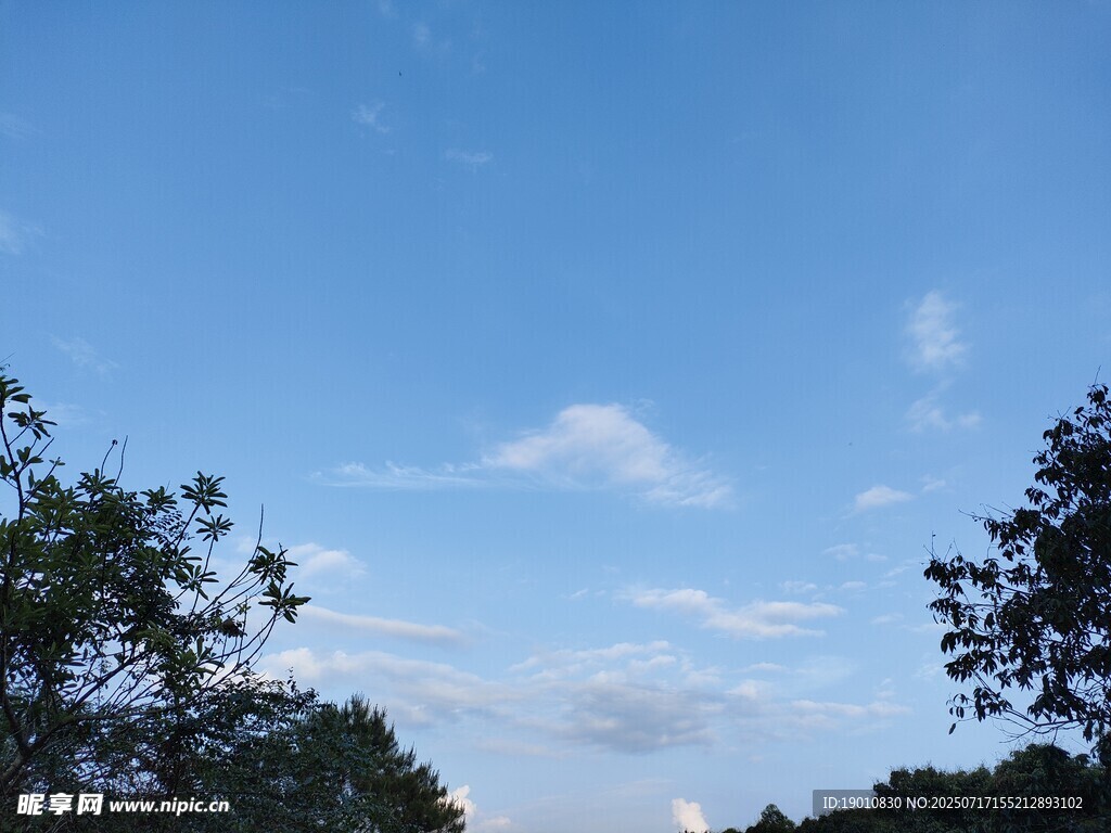 蓝天绿树间的悠然景致