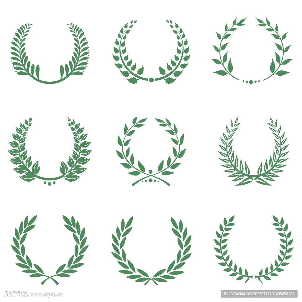 橄榄枝