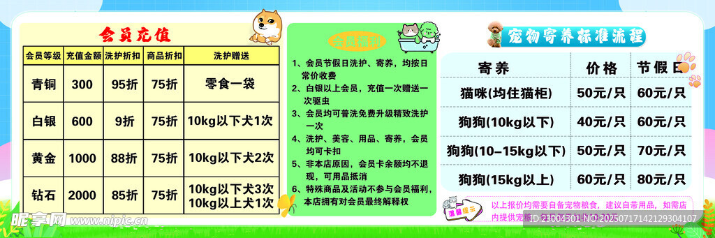 宠物