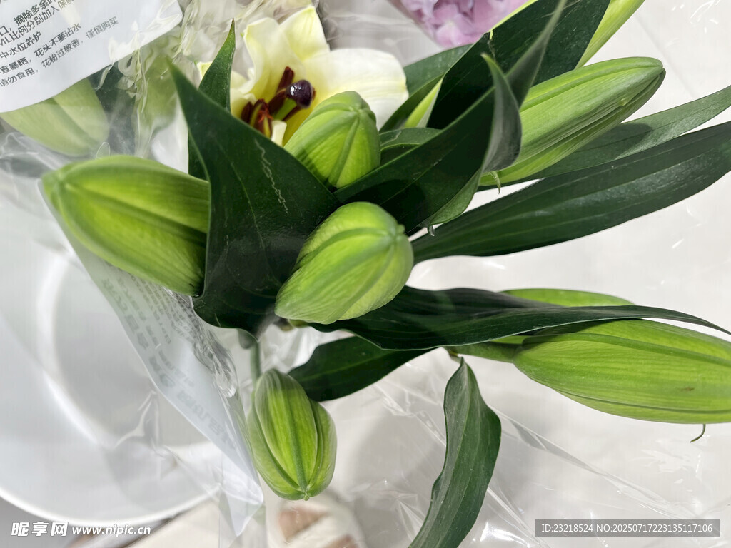百合花花蕊