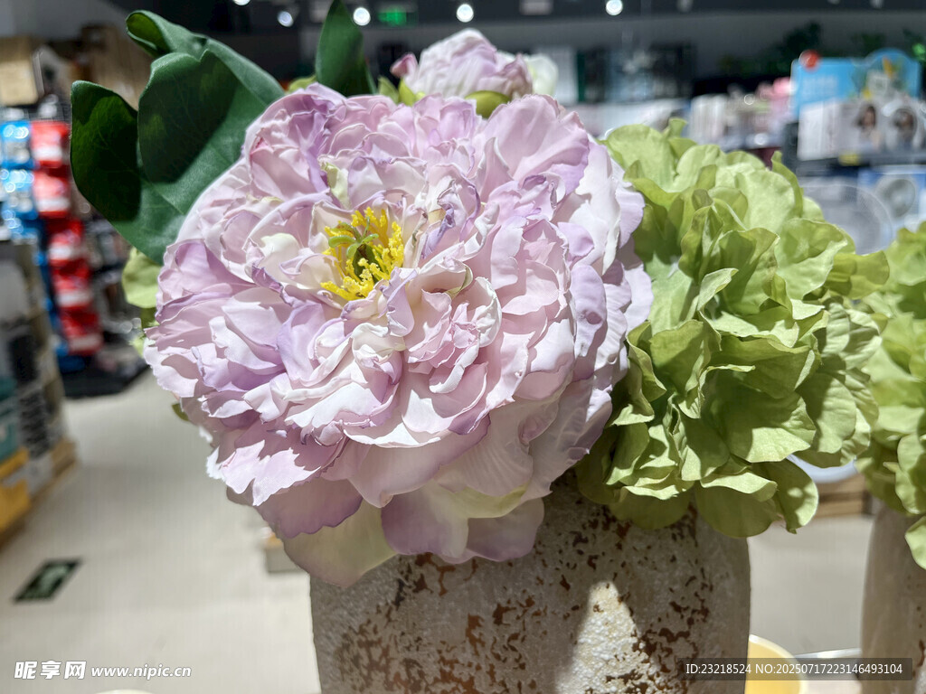 牡丹花