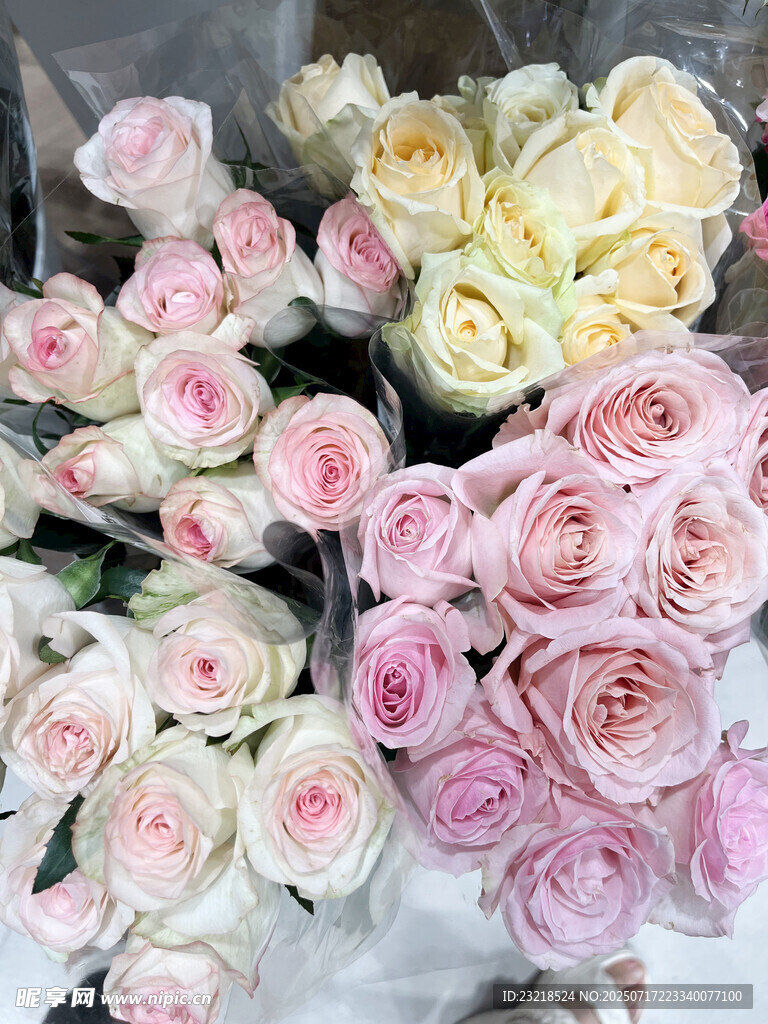 玫瑰花