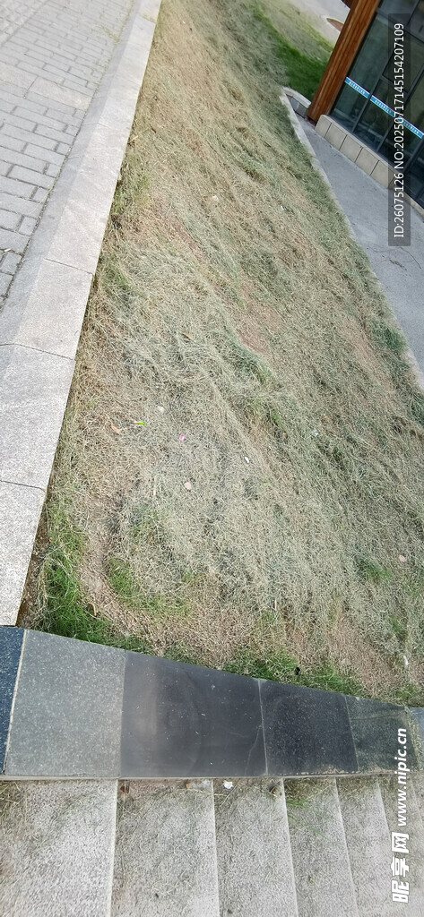 户外割掉的干草与建筑边缘景象