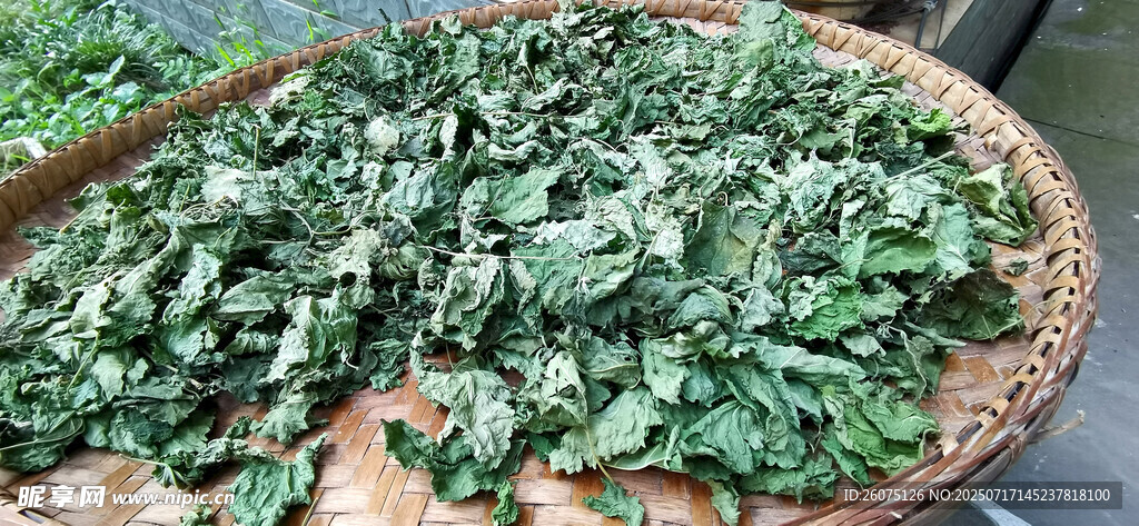 竹盘盛放的鲜嫩茶叶