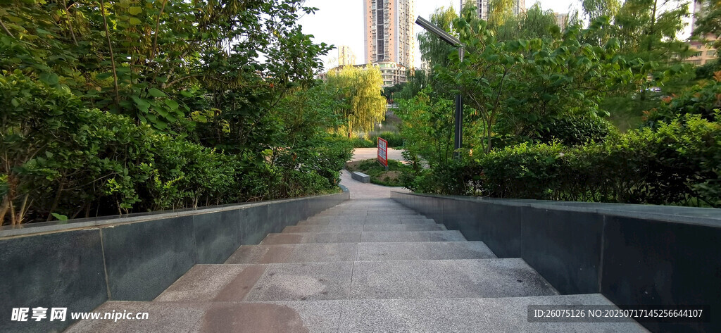 林荫下的下行阶梯步道