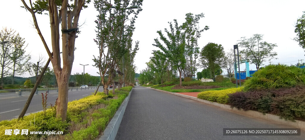 城市辅道景观