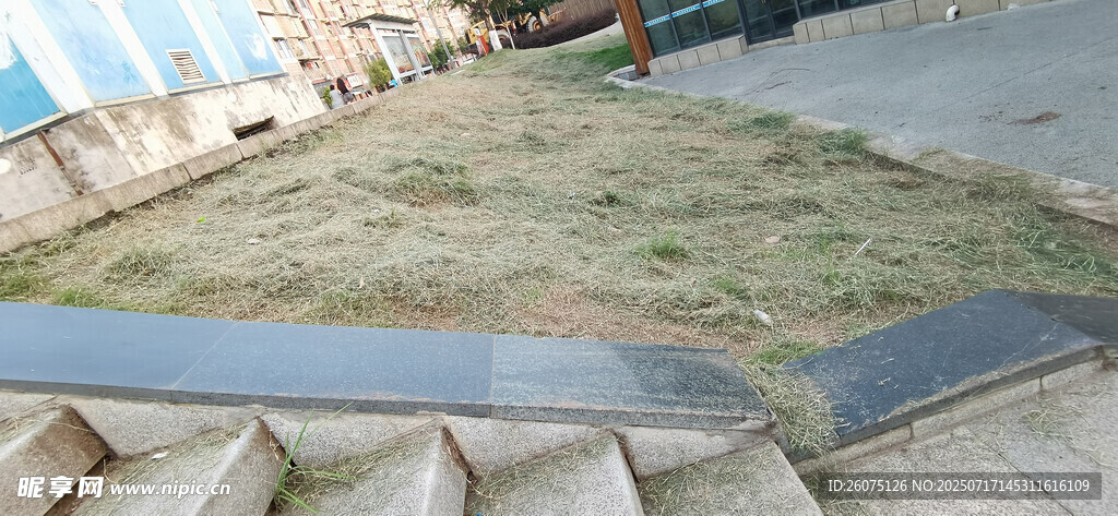 户外阶梯旁的小片枯草地