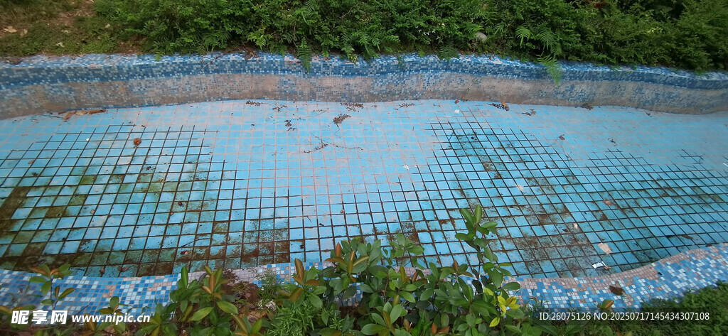 废弃泳池