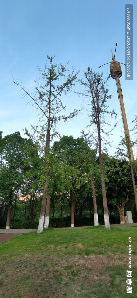户外草地旁的高耸设施