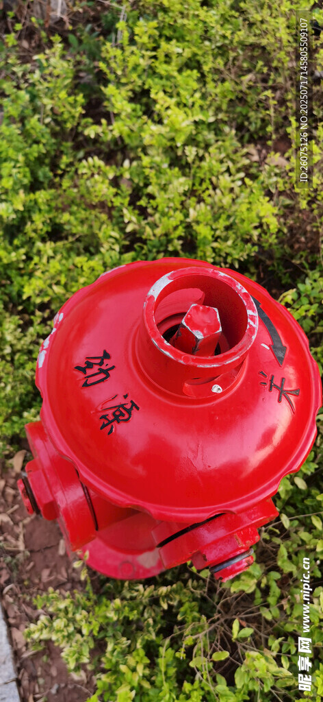 红色消防栓置于绿色草地