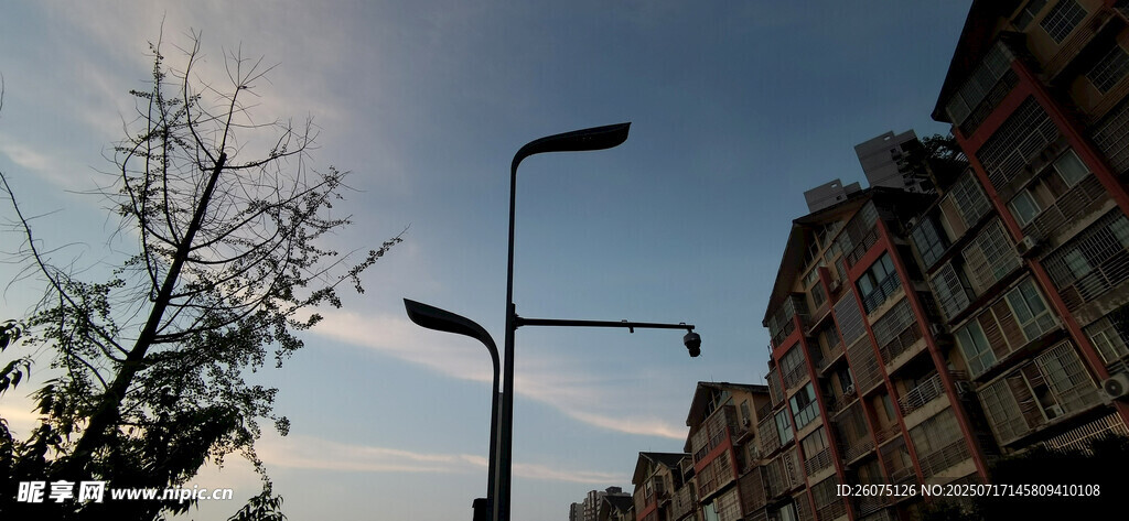 城市街道旁路灯黄昏景象