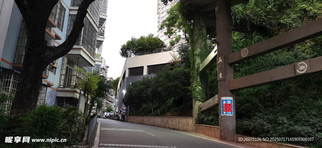 绿树环绕的幽静道路