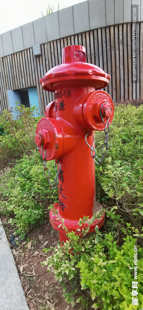 红色消防栓立于绿植间