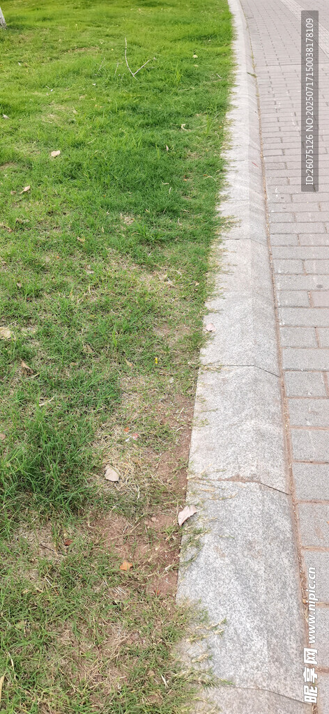 砖石小径旁的翠绿草地