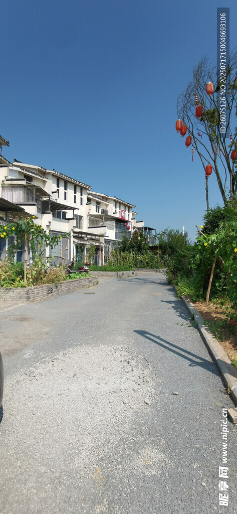 宁静小路旁的低矮建筑群