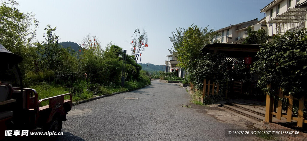 宁静乡村小路风景
