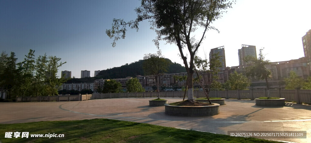 城市公园开阔景致