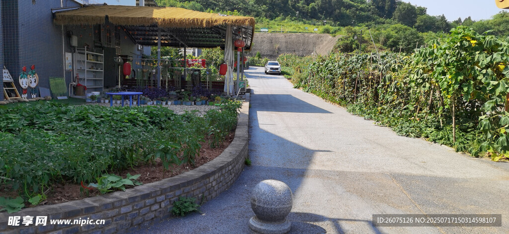 户外休闲步道与绿植景观