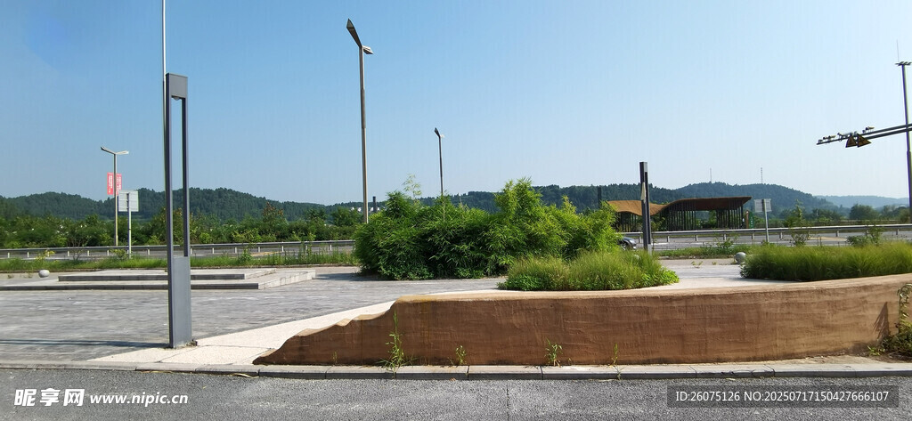 城市道路旁的绿植景观