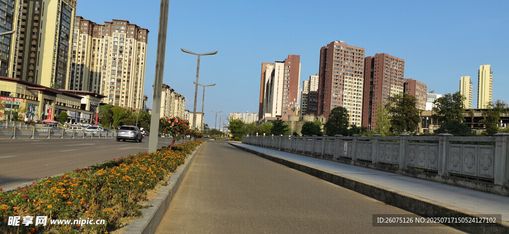 城市桥梁与远处的高楼景观