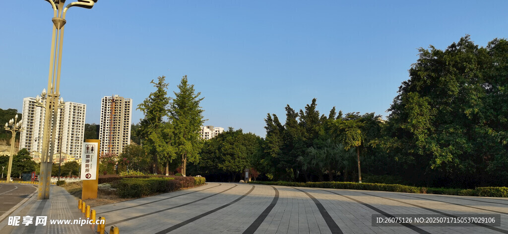 城市开阔广场上的绿树景观
