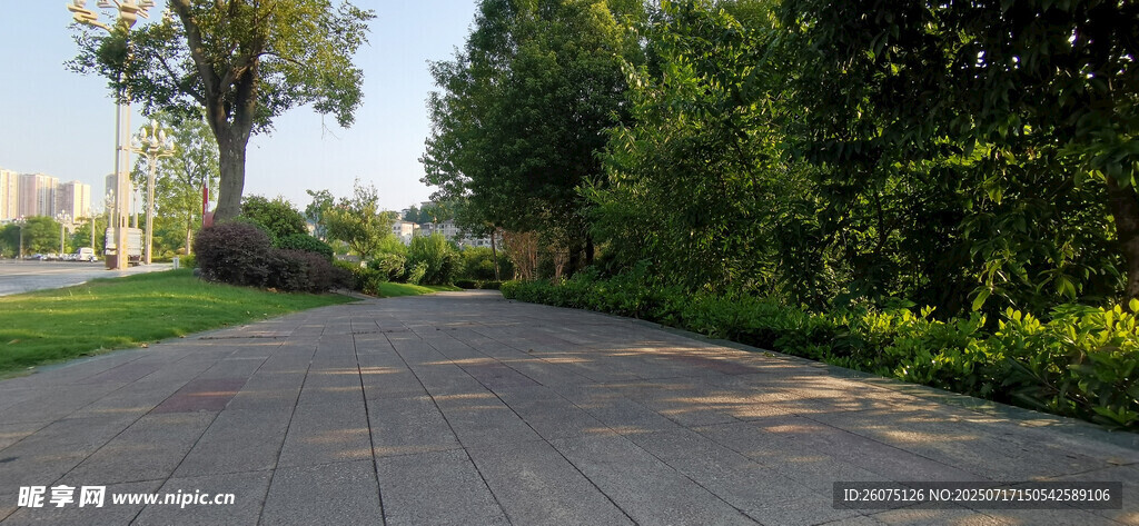 公园里的林间静谧小路