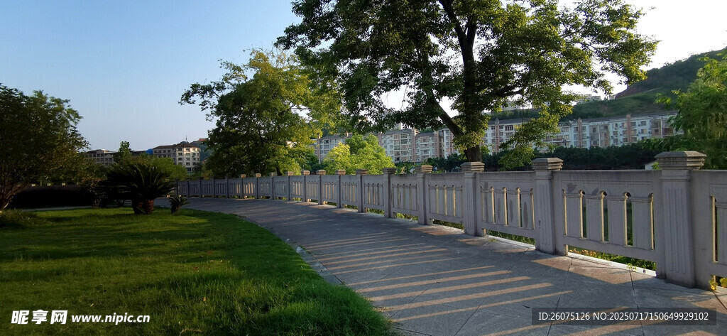 宁静小路旁的围栏与绿树